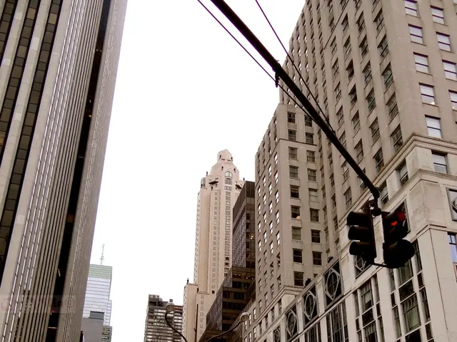 As we can see in the image there are buildings, traffic signals, windows, few people here and...