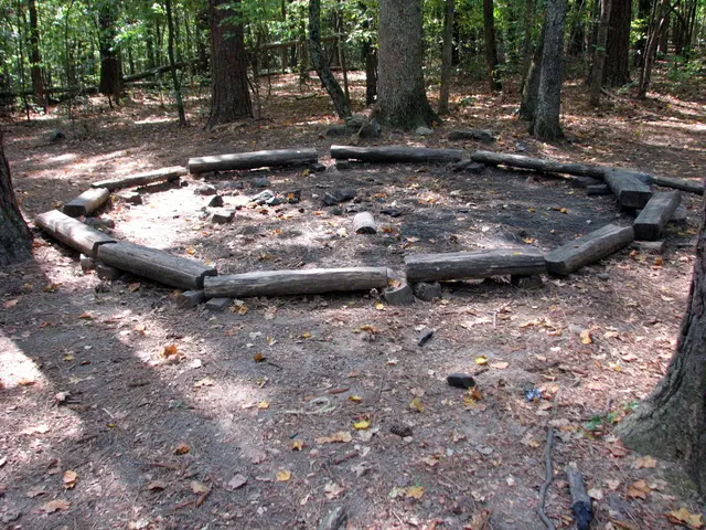 In this image I can see there are many wood on the ground and at the back, I can see there are many...