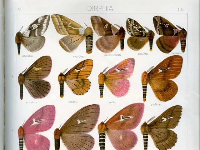 In this picture I can see a paper, there are words, numbers and there are images of different types...