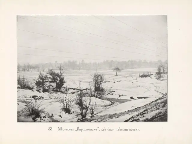 The image shows a black and white photo of a snowy field with trees, plants, and wires in the...