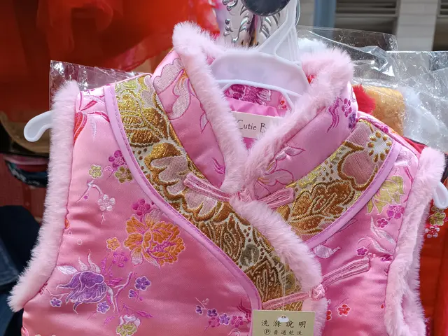 The image shows a pink Chinese dress hanging on a rack in a store, with a price tag attached to it....