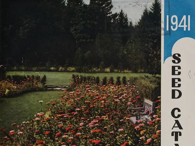 The image shows a field of flowers with a bench in the middle, surrounded by trees and a clear blue...