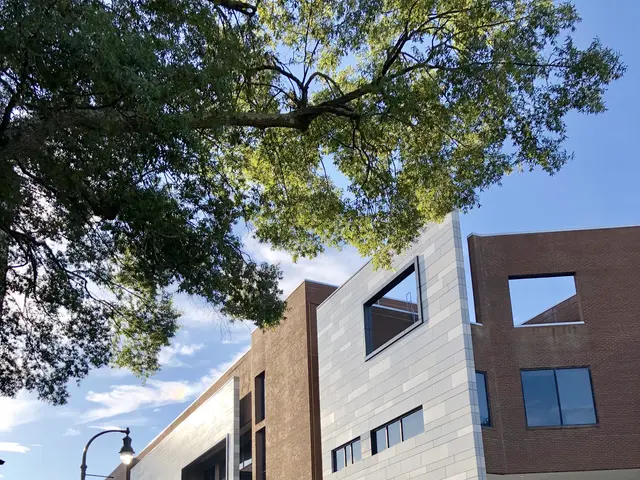 The image shows a large building with a lot of windows on the side of it, surrounded by street...