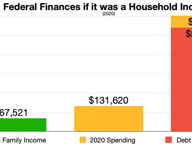 The image shows a chart with text at the top that reads "Federal Finances if it was a Household...