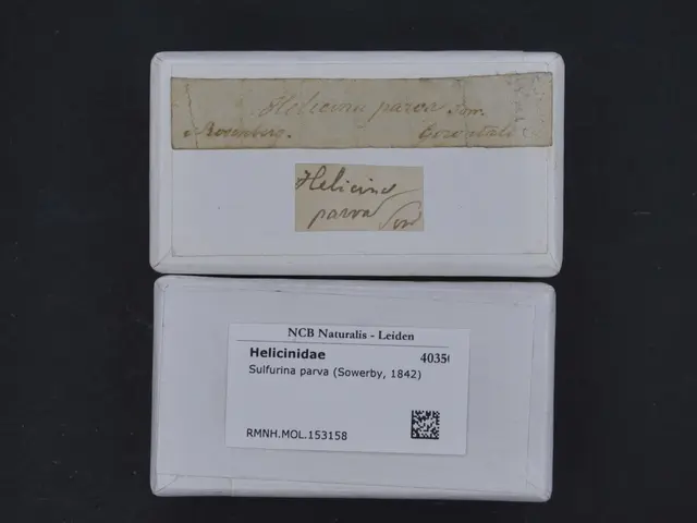 The image shows a pair of white business cards sitting on top of each other on a black surface. The...