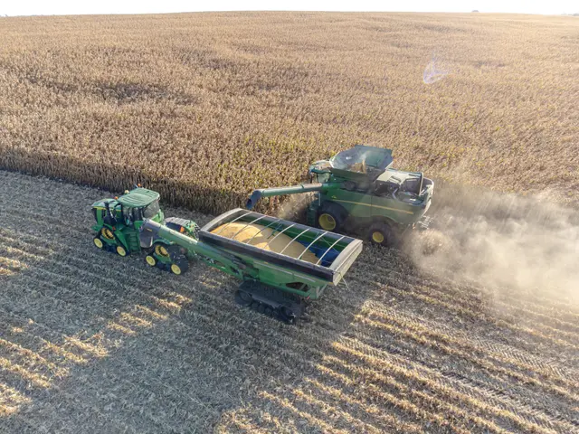 The image shows two John Deere combine harvesters working in a field, with a trailer attached to...