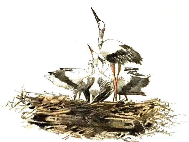 The image shows a painting of two storks standing on top of a nest against a white background. The...