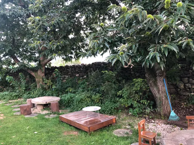 The image shows a garden with a table and chairs under a mango tree, surrounded by lush green grass...