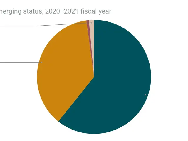 The image shows a pie chart on a white background with text that reads "Funds by Emerging Status,...