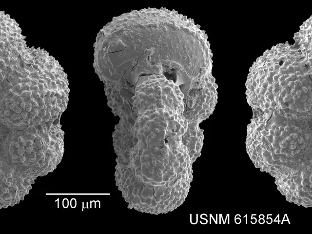The image shows a black and white photo of three different types of cancer cells, with a dark...