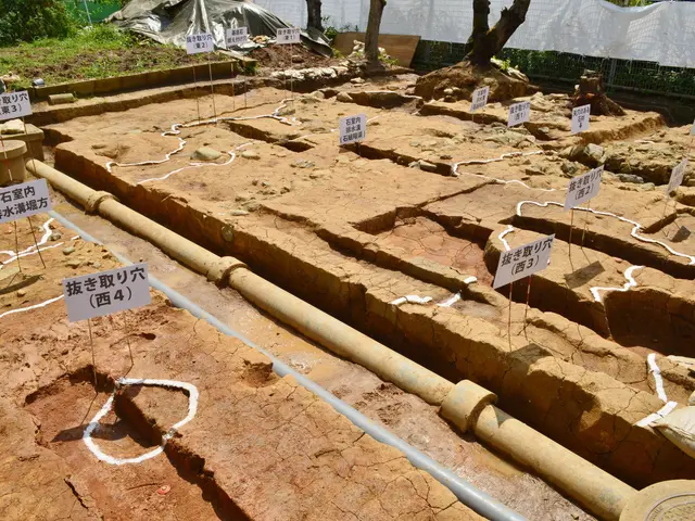 The image shows a large excavation site with a lot of dirt on the ground, surrounded by trees,...