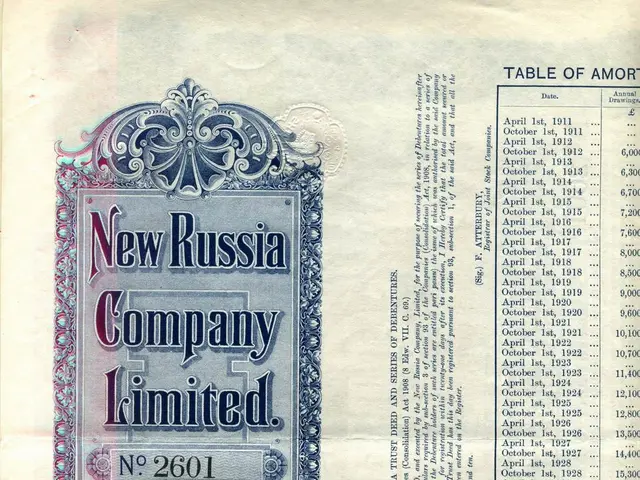 The image shows an old book with a picture of a New Russia Company Limited stock certificate on it....