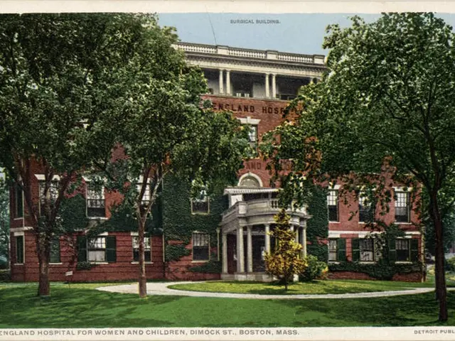 The image shows an old postcard of the New England Hospital for Women and Children in Boston,...