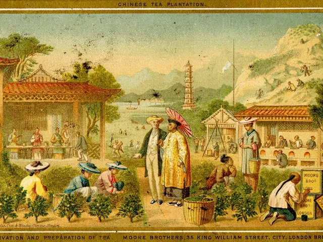 The image shows a painting of a Chinese tea plantation, with people, plants, trees, houses, a...
