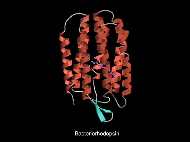 The image shows an animated diagram of a bacterium with a red and green ribbon in the middle of it,...