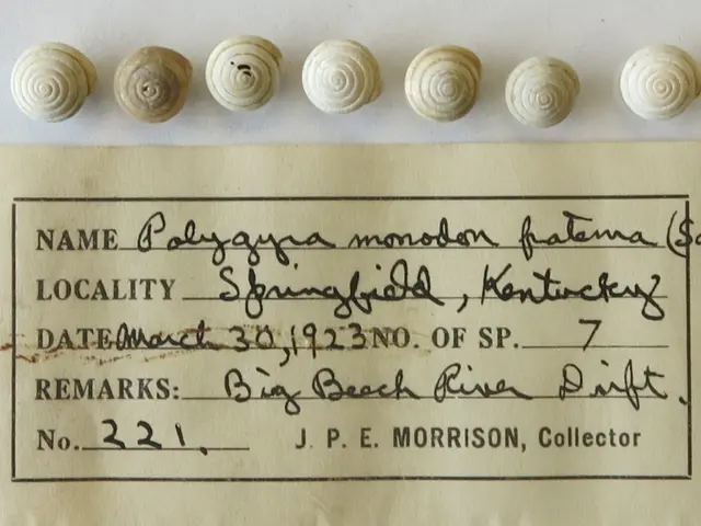 The image shows a piece of paper with a bunch of small shells on top of it, along with some text...