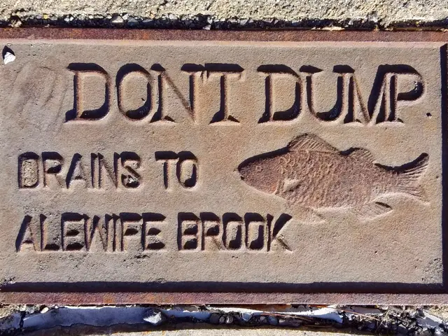 The image shows a stone plaque on the side of a building that reads "Don't Dump Drains to Alewife...