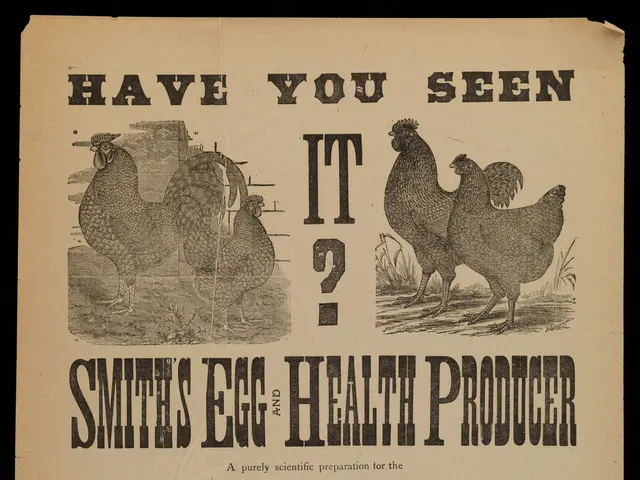 The image shows a poster with pictures of hens and text that reads "Have you seen it? Smith's Egg...
