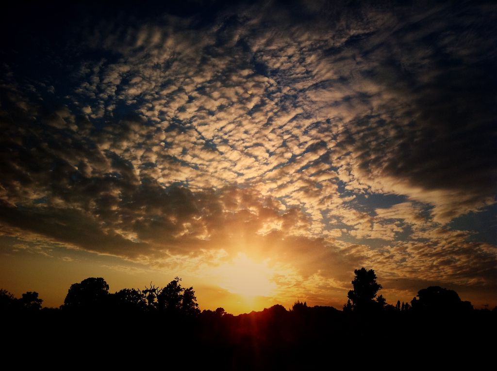 Sector with predominantly service-based businesses records a 0.5% uptick in revenue when compared...